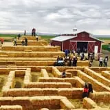 Country Mercantile Harvest Festival photo