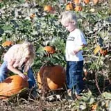 Country Mercantile Harvest Festival photo