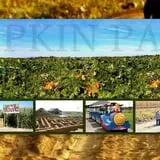 Country Mercantile Harvest Festival photo