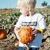 Country Mercantile Harvest Festival photo