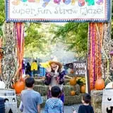 Lagoon Park Frightmares photo