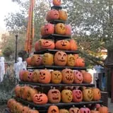 Lagoon Park Frightmares photo