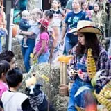Lagoon Park Frightmares photo
