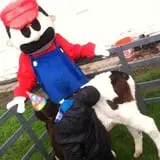 Chamberlin Pony Rides & Mobile Petting Zoo photo