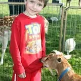 Chamberlin Pony Rides & Mobile Petting Zoo photo