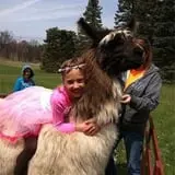 Chamberlin Pony Rides & Mobile Petting Zoo photo