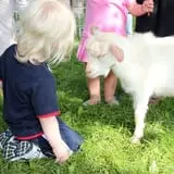 Chamberlin Pony Rides & Mobile Petting Zoo photo