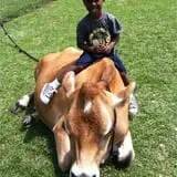 Chamberlin Pony Rides & Mobile Petting Zoo photo