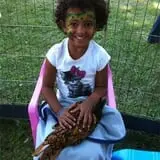 Chamberlin Pony Rides & Mobile Petting Zoo photo