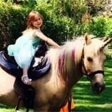Chamberlin Pony Rides & Mobile Petting Zoo photo