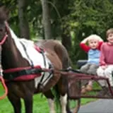 Chamberlin Pony Rides & Mobile Petting Zoo photo