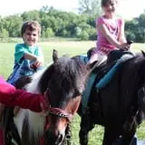 Chamberlin Pony Rides & Mobile Petting Zoo photo