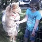 Chamberlin Pony Rides & Mobile Petting Zoo photo