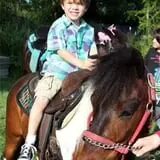 Chamberlin Pony Rides & Mobile Petting Zoo photo