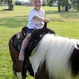 Chamberlin Pony Rides & Mobile Petting Zoo photo