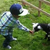 Chamberlin Pony Rides & Mobile Petting Zoo photo