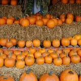 Wrights Farm photo