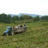 Wrights Farm photo