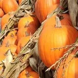 Wrights Farm photo