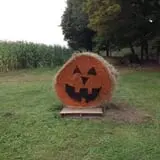 Cunningham Family Farms photo