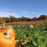 Cunningham Family Farms photo