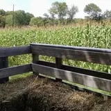 Cunningham Family Farms photo