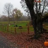 Cunningham Family Farms photo