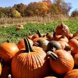 Cunningham Family Farms photo
