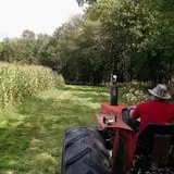 Cunningham Family Farms photo