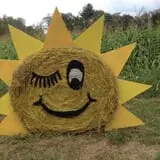 Cunningham Family Farms photo