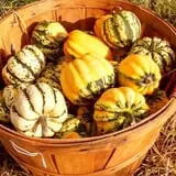 Cunningham Family Farms photo