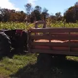 Cunningham Family Farms photo