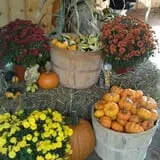 Cunningham Family Farms photo