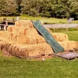 Cunningham Family Farms photo