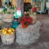 Cunningham Family Farms photo