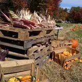 Cunningham Family Farms photo