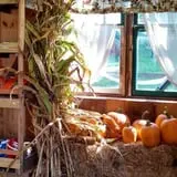 Cunningham Family Farms photo