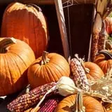 Cunningham Family Farms photo