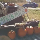 Cunningham Family Farms photo