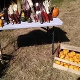 Cunningham Family Farms photo
