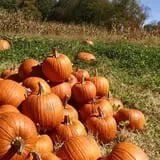 Cunningham Family Farms photo