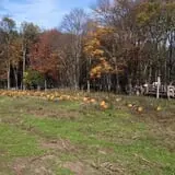 Cunningham Family Farms photo