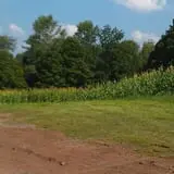 Cunningham Family Farms photo