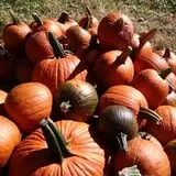Cunningham Family Farms photo