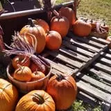 Cunningham Family Farms photo