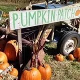 Cunningham Family Farms photo