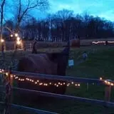Cunningham Family Farms photo