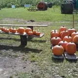 Cunningham Family Farms photo