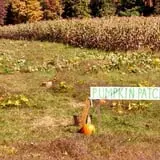 Cunningham Family Farms photo