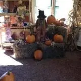 Cunningham Family Farms photo